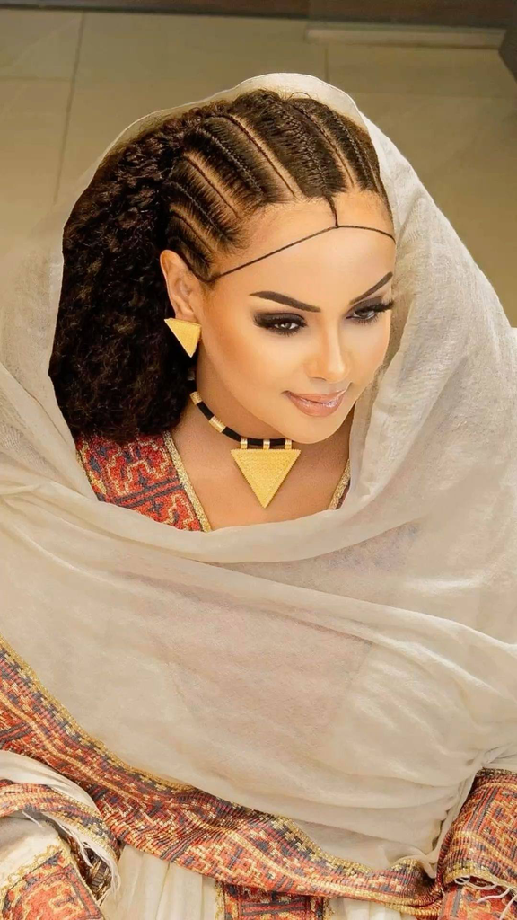 Ashenda Braids (In House)